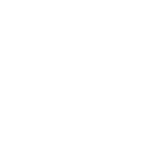 This is the logo of Solanalysis