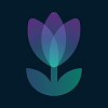 This is the logo of Tulip Protocol